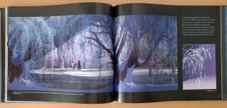 El Arte de Frozen Disney