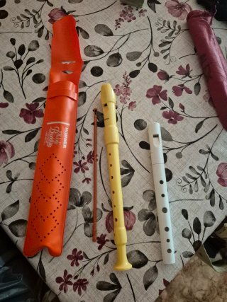 Pack 2 Flautas Hohner Melody