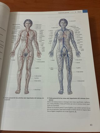 Prometheus texto y atlas de anatomía