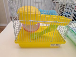 Jaula pequeña con accesorios