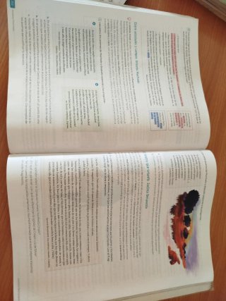 Lengua castellana y Literatura Revuela : 4 Secu...