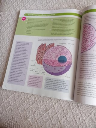 Biología y Geología. 4o ESO
