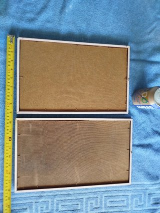 Dos cuadros antiguos dibujos pintados a mano.