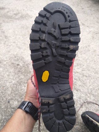 Botas de montaña Lowa goretex