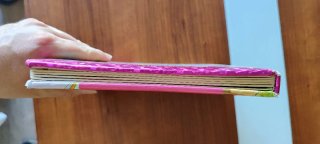 Libro Infantil El campamento "Mira por la ventana"