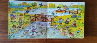 Libro Infantil El campamento "Mira por la ventana"