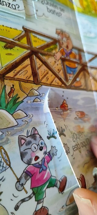 Libro Infantil El campamento "Mira por la ventana"