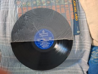 Vinilo Lo Mejor del Año