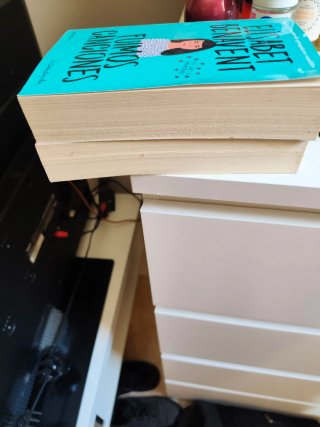Libros Elisabeth benabent