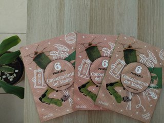 Conocimiento del Medio, 6 Primaria, Canarias, O...