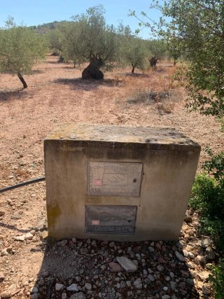 Olivar 3463 m² en El Cabezo con agua de riego