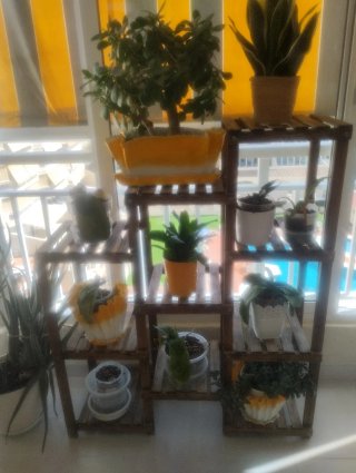 Estantería de madera para plantas