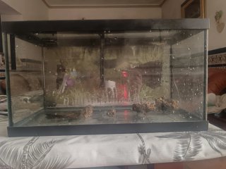 Pecera de cristal 60 litros con bomba de agua