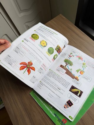 Ciencias da Natureza. 3 Primaria. Revoa