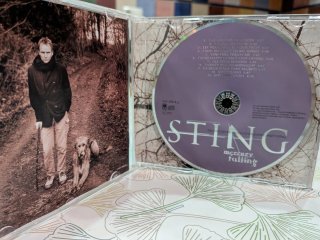CD Sting Mercury Falling