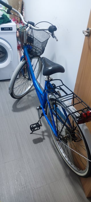 Bicicleta azul con cesta y portabultos