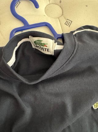 Conjunto Lacoste Verano XXL