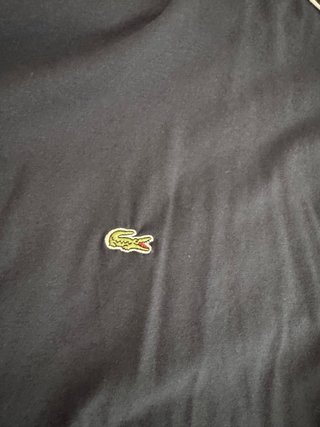 Conjunto Lacoste Verano XXL