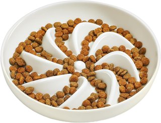 Comedero lento cerámico para gatos NUEVO