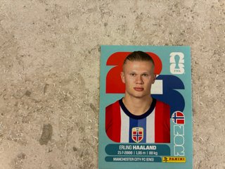 Cromo Erling Haaland Panini FIFA 23