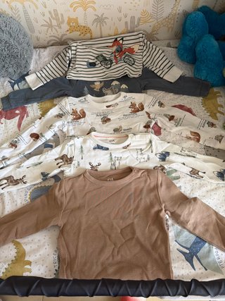 Lote 5 camisetas manga larga 2-3 años