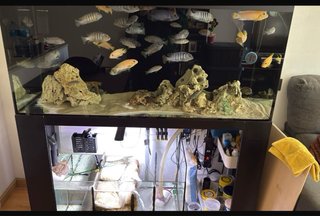Acuario 400L
