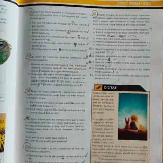 Llengua catalana, 3 ESO