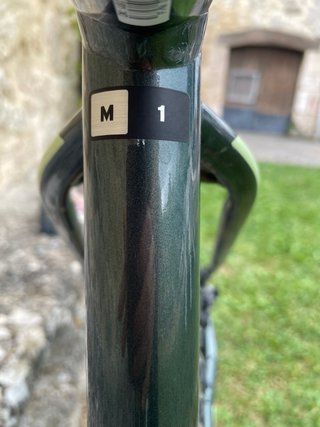 Bicicleta Eléctrica Giant en muy buen estado