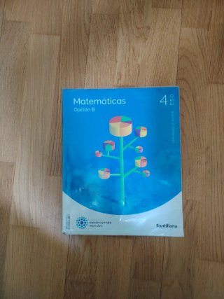 Matemáticas B 4ESO santillana