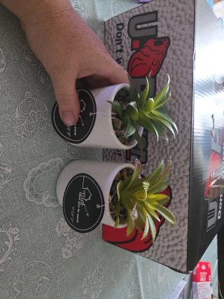 Set 2 Piantine Finte Vaso Ceramica Idee per la cas