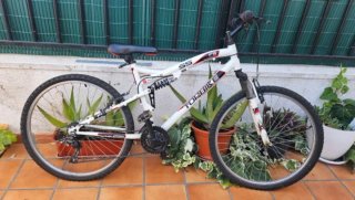 Bicicleta MTB Topbike FS 55