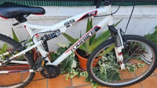 Bicicleta MTB Topbike FS 55