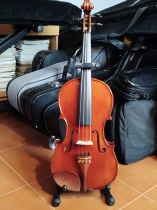 Viola Gliga Gama I 15.5 + Arco Codabow Prodigy