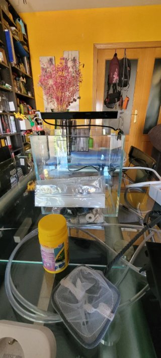 Nano acuario 8L con accesorios