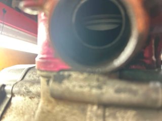 Motor am6 Top Rosa