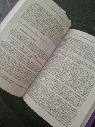 El extranjero en el Derecho español