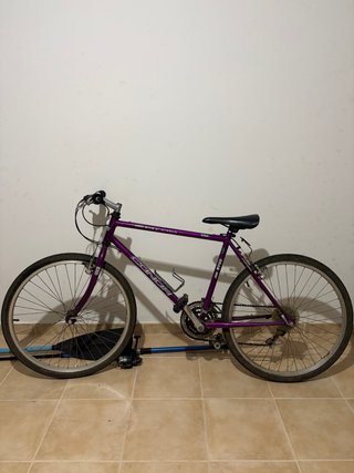 Bicicleta Montaña Condor 26