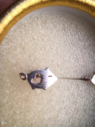Pendientes de plata