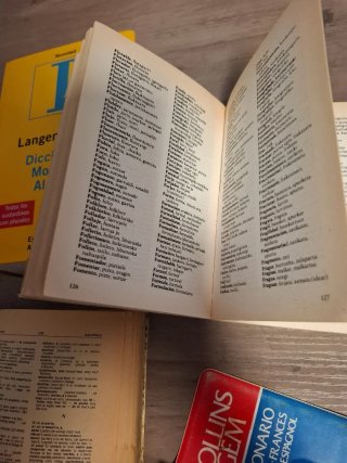 DICCIONARIOS, ALEMAN, INGLES, EUSKERA Y FRANCÉS
