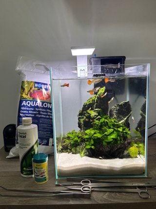 Acuario completo con accesorios y seres vivos