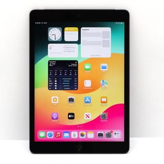 Apple iPad 8 A2429 Gris Espacial