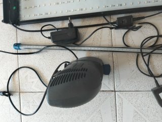 Pecera con todos los accesorios