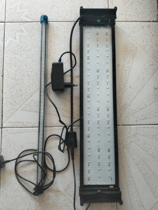 Pecera con todos los accesorios