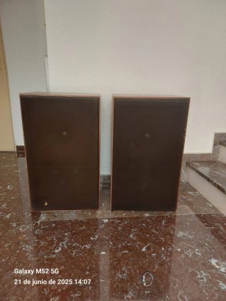 Altavoces Grandes Marrones