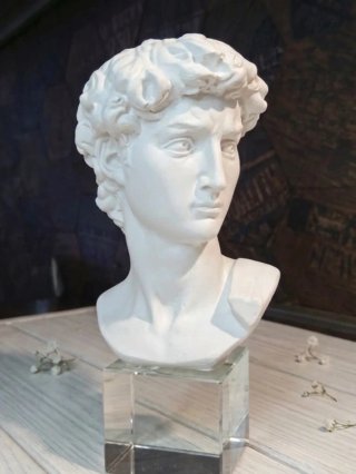 Composizione busto David Michelangelo