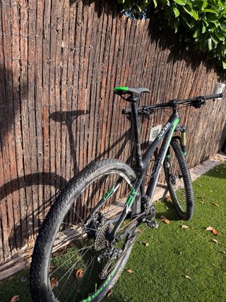 Bicicleta Carbono Focus Raven