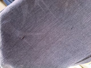 T-shirt Analepsy