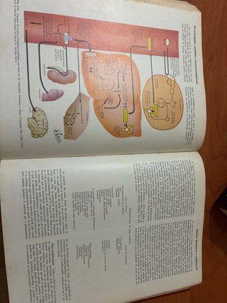 Medicina interna Farreras