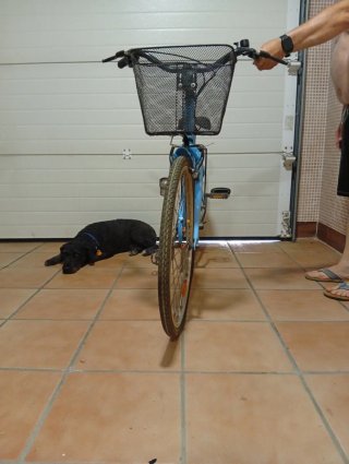 Bicicleta azul con cesta