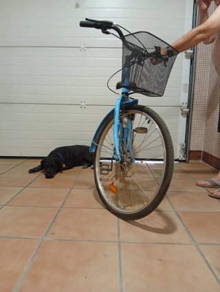 Bicicleta azul con cesta